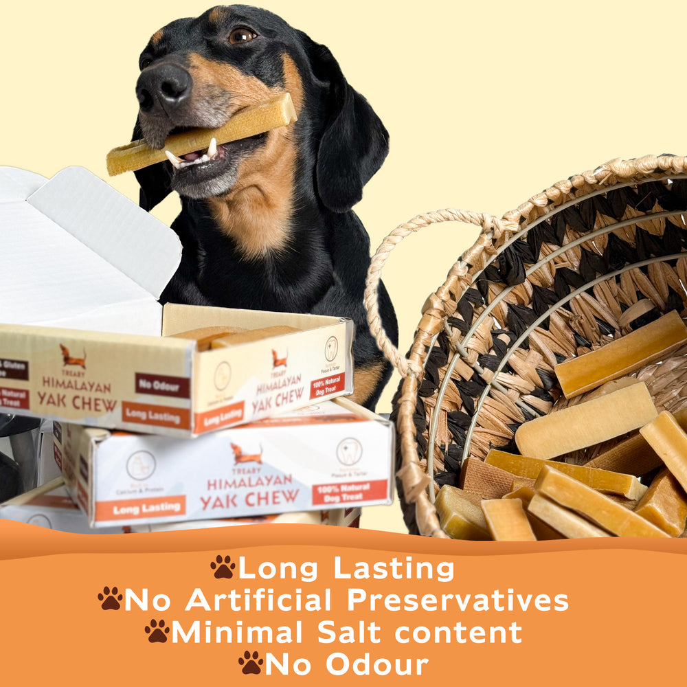 TREABY Himalayan Yak Chew Box - Large ( pack of 10)