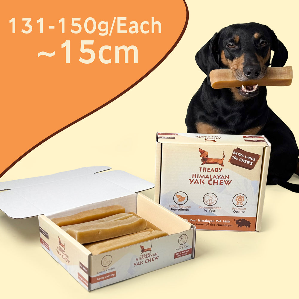 TREABY Himalayan Yak Chew Box -Extra Large ( pack of 10)