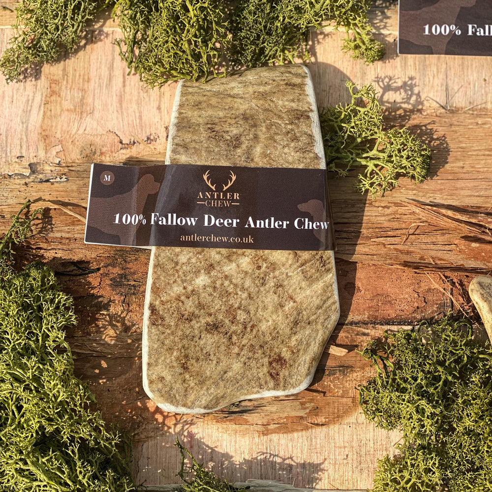 Fallow Deer Antler Chew
