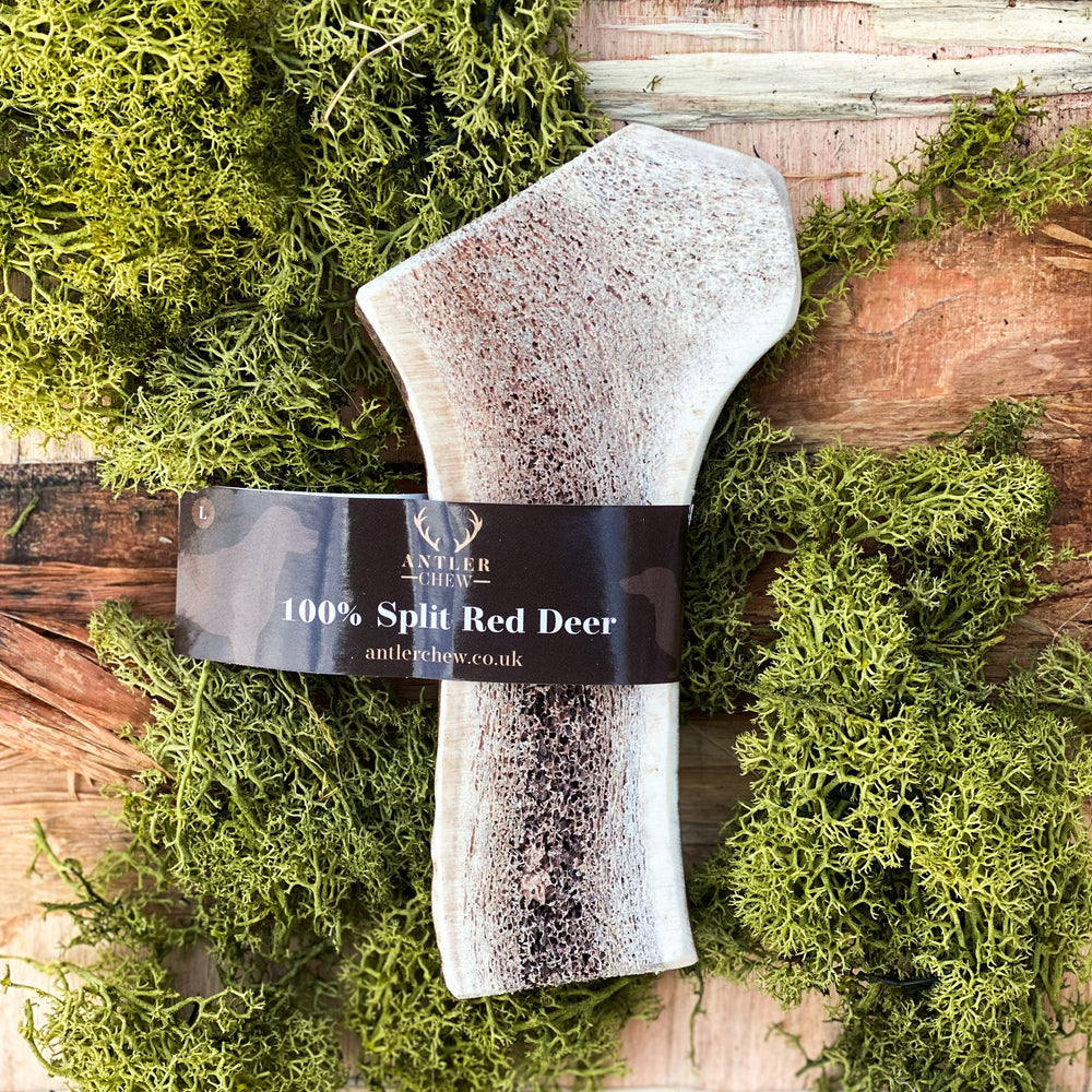 Split Red Deer Antler Chew - Soft & Easy