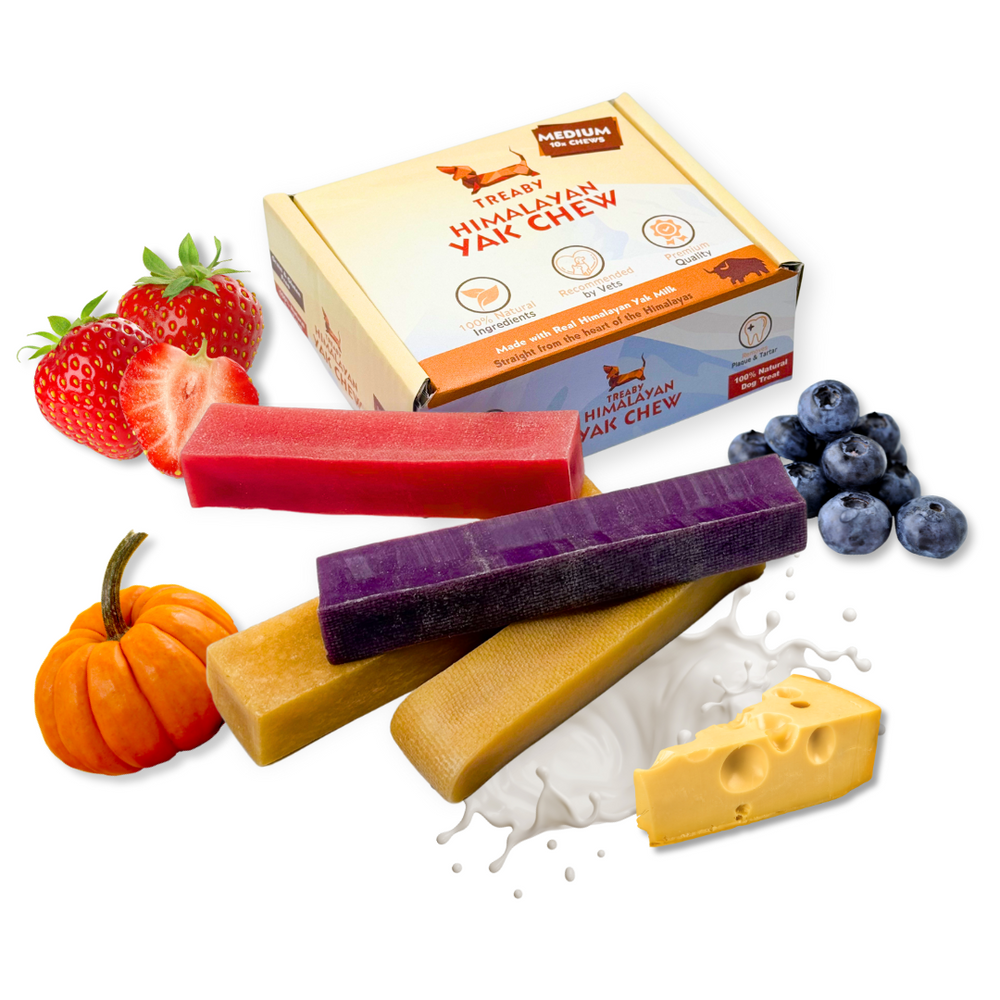 Mixed Flavour TREABY Himalayan Yak Chew Box - Box of 10