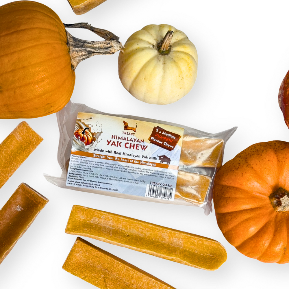 Pumpkin Yak Chew - Medium X 2