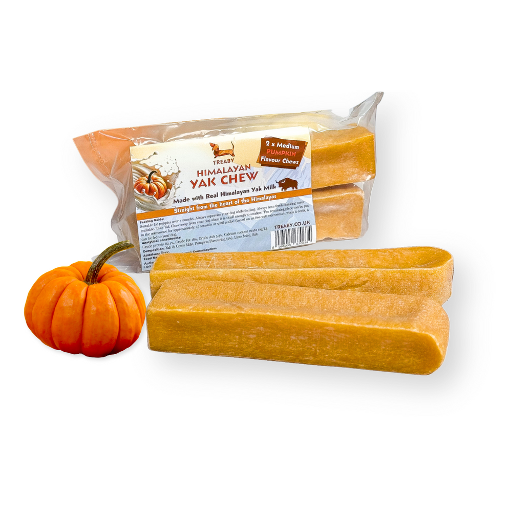 Pumpkin Yak Chew - Medium X 2