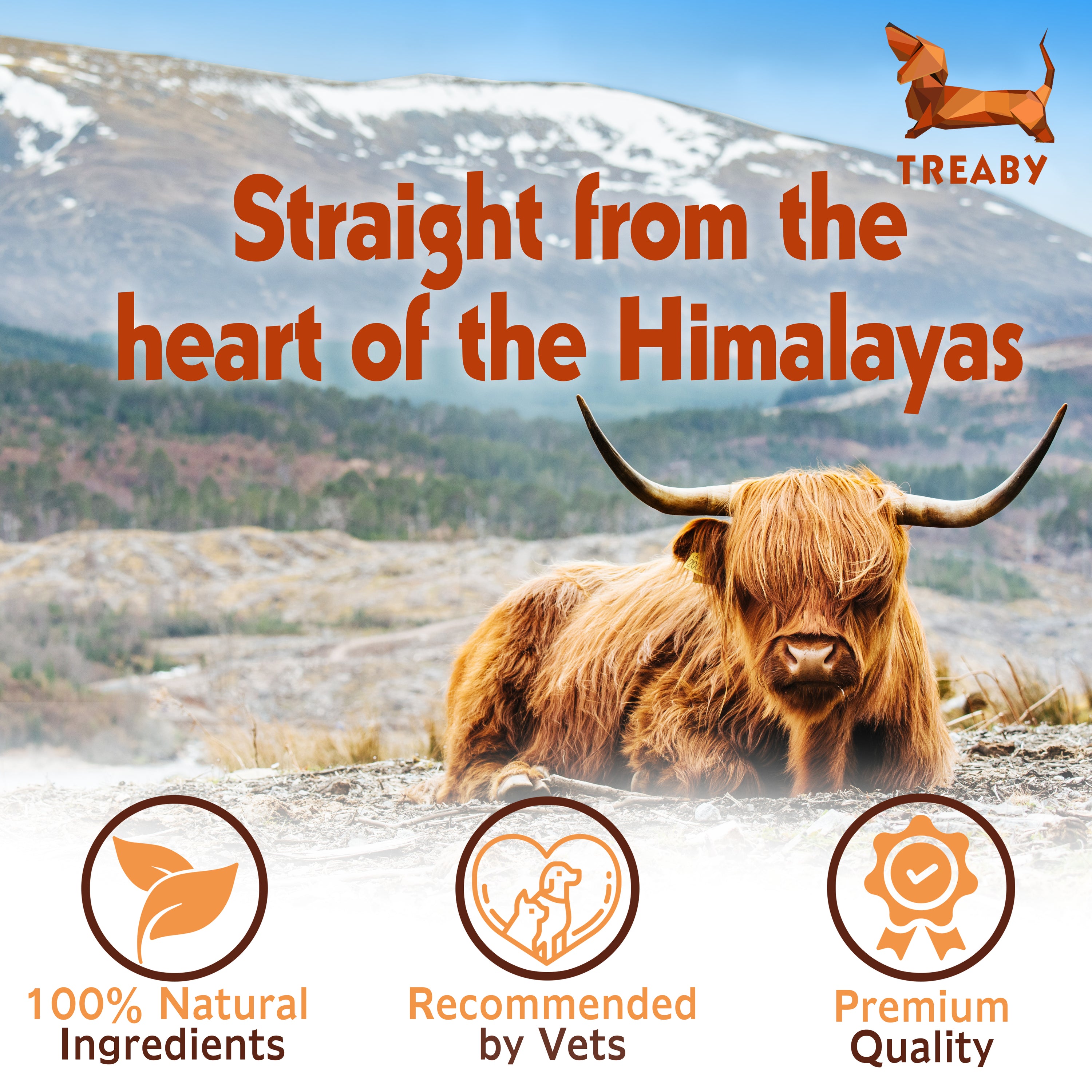 TREABY Himalayan Yak Chew Box - Medium ( pack of 10)