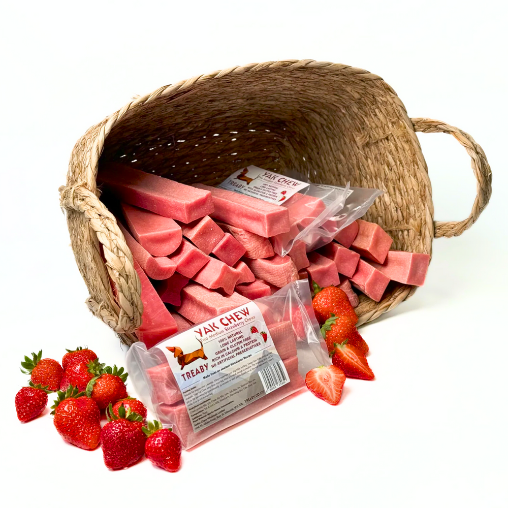 Strawberry Yak Chew - Medium X 2