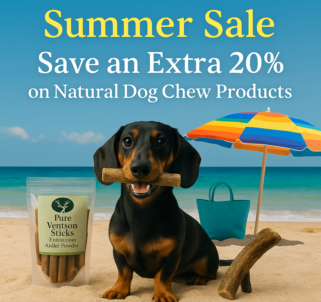 Summer Sale Is Here – Save 20% on Your Dog’s Natural Favourites!
