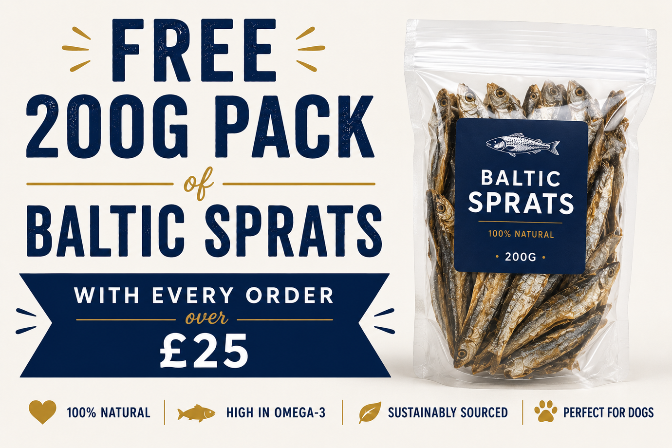 The Benefits of Fish Treats & Supplements for Dogs 🐟🐶