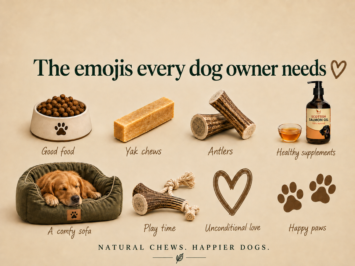 🐾 The Emojis Every Dog Owner Needs 🤎