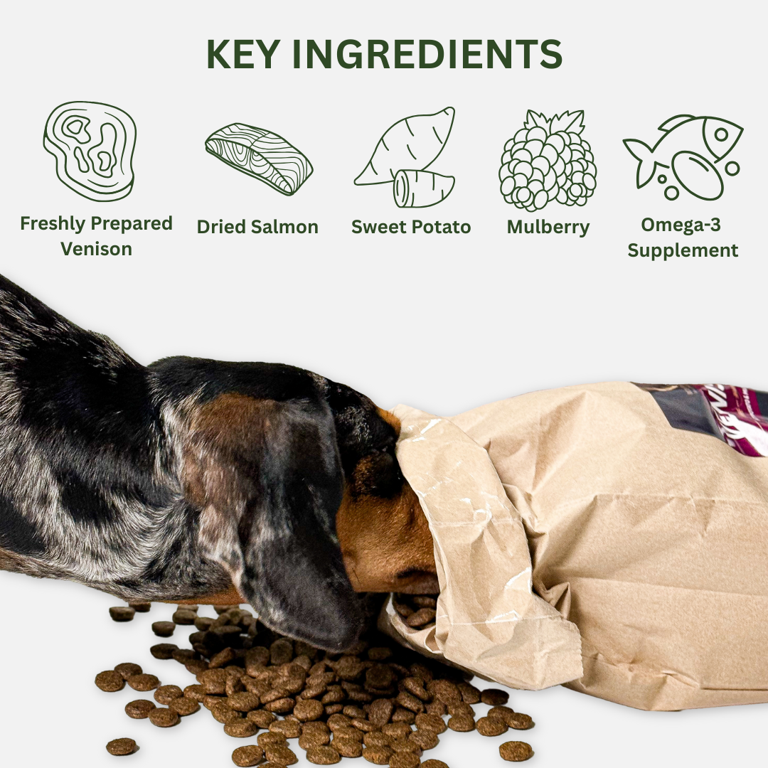 Venison, Sweet Potato & Mulberry Natural Dog Food
