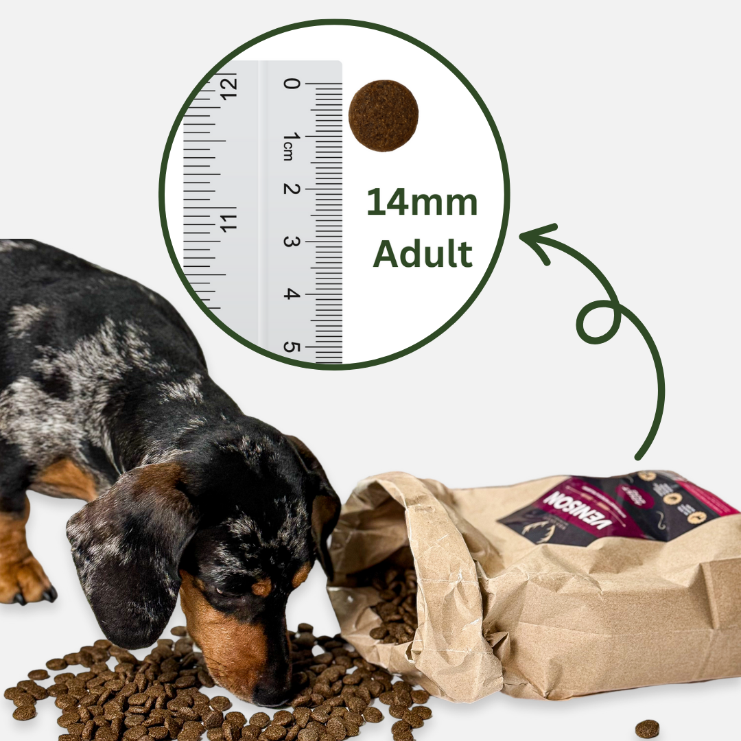 Venison, Sweet Potato & Mulberry Natural Dog Food