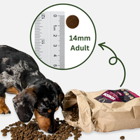 Natural Dog Chew