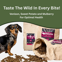 Natural Dog Chew