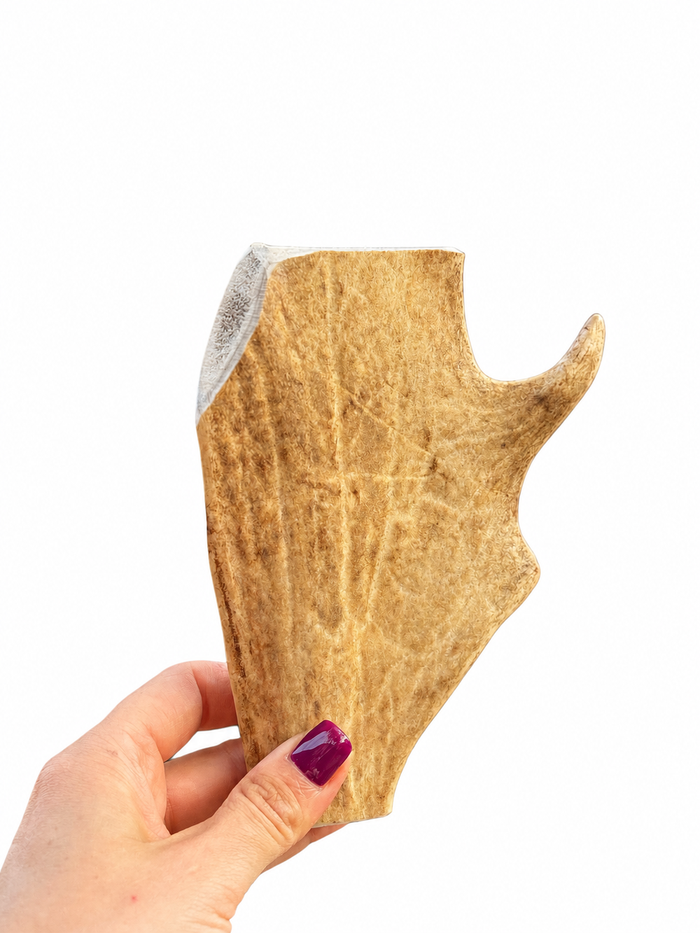 Fallow Deer Antler Chew
