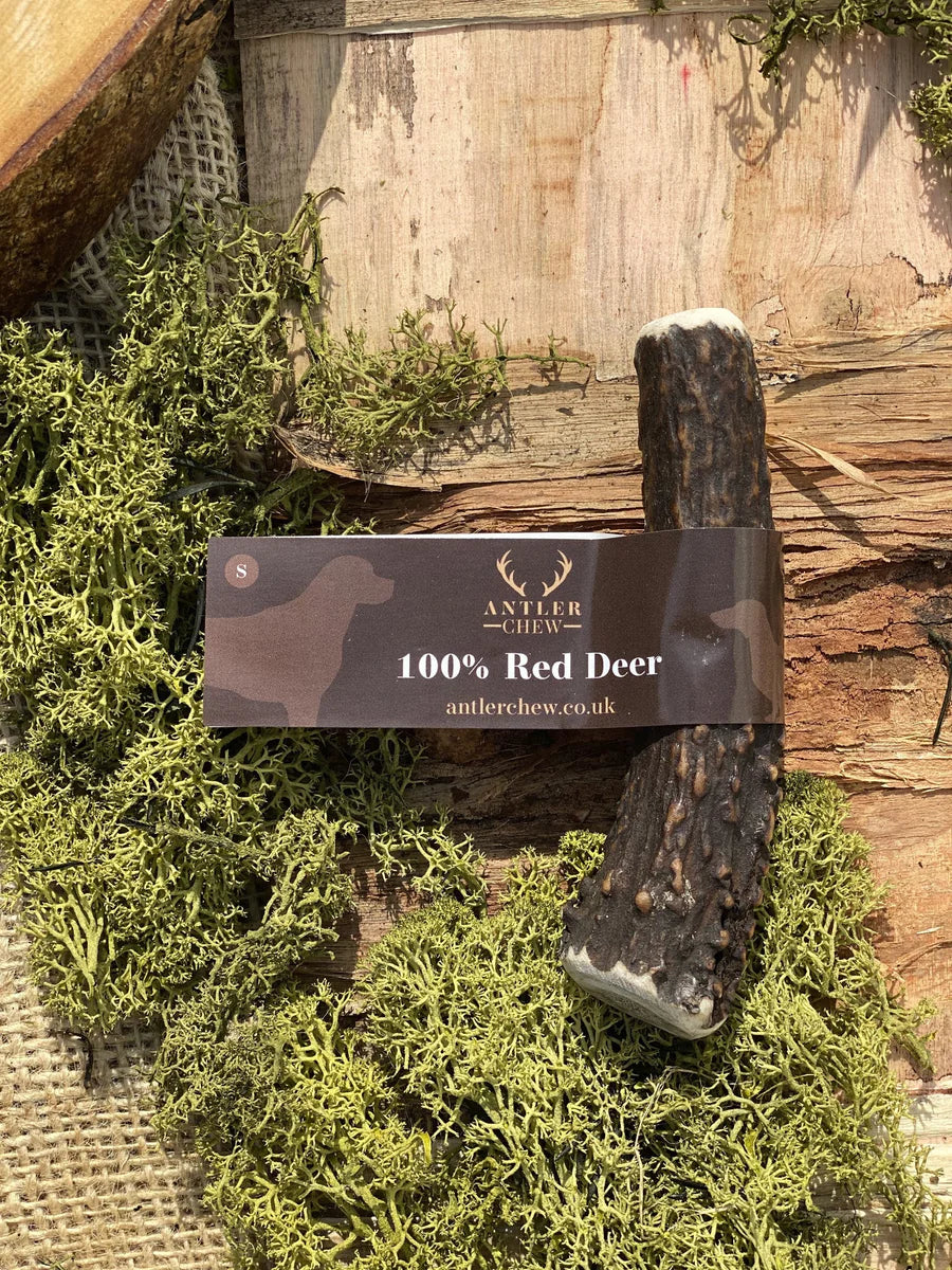 Red Deer  Antler Dog Chew