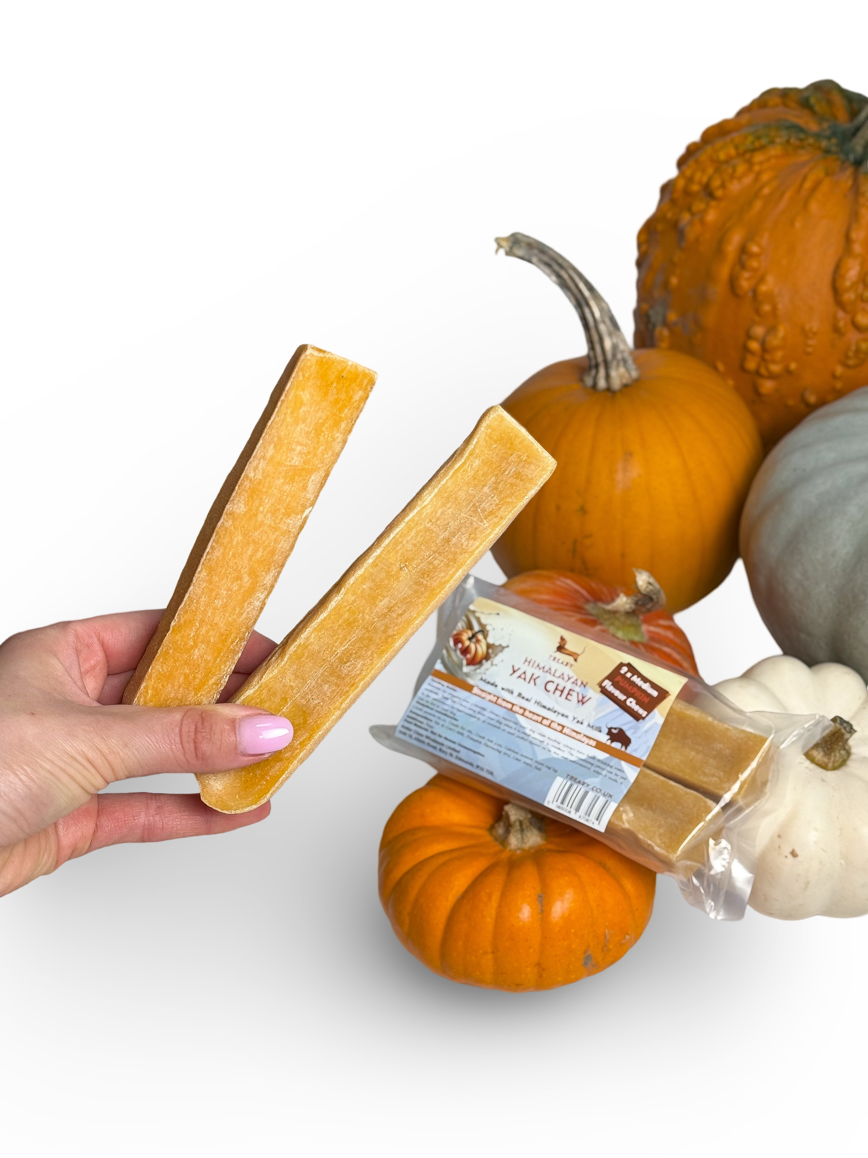 Pumpkin Yak Chew - Medium X 2