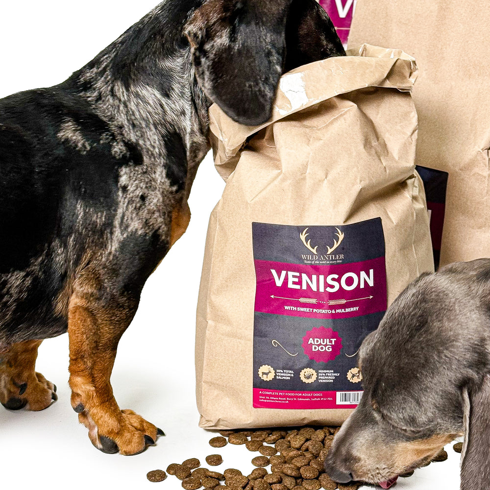 Venison, Sweet Potato & Mulberry Natural Dog Food