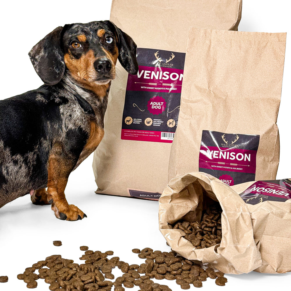 Venison, Sweet Potato & Mulberry Natural Dog Food