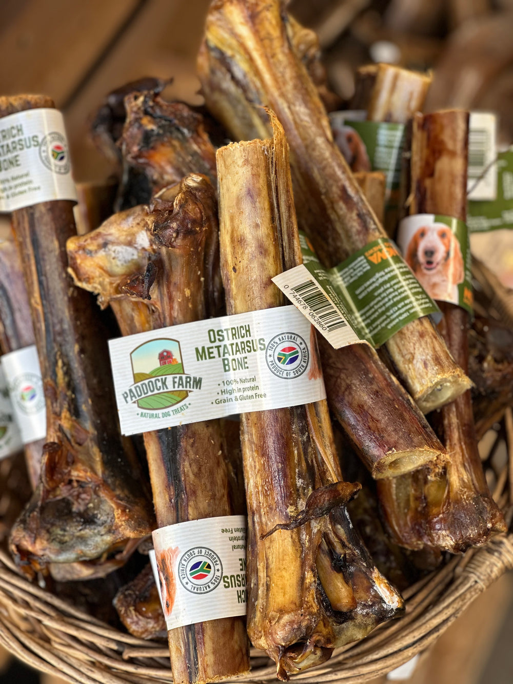 Natural Ostrich Metatarsus Bone for Dogs