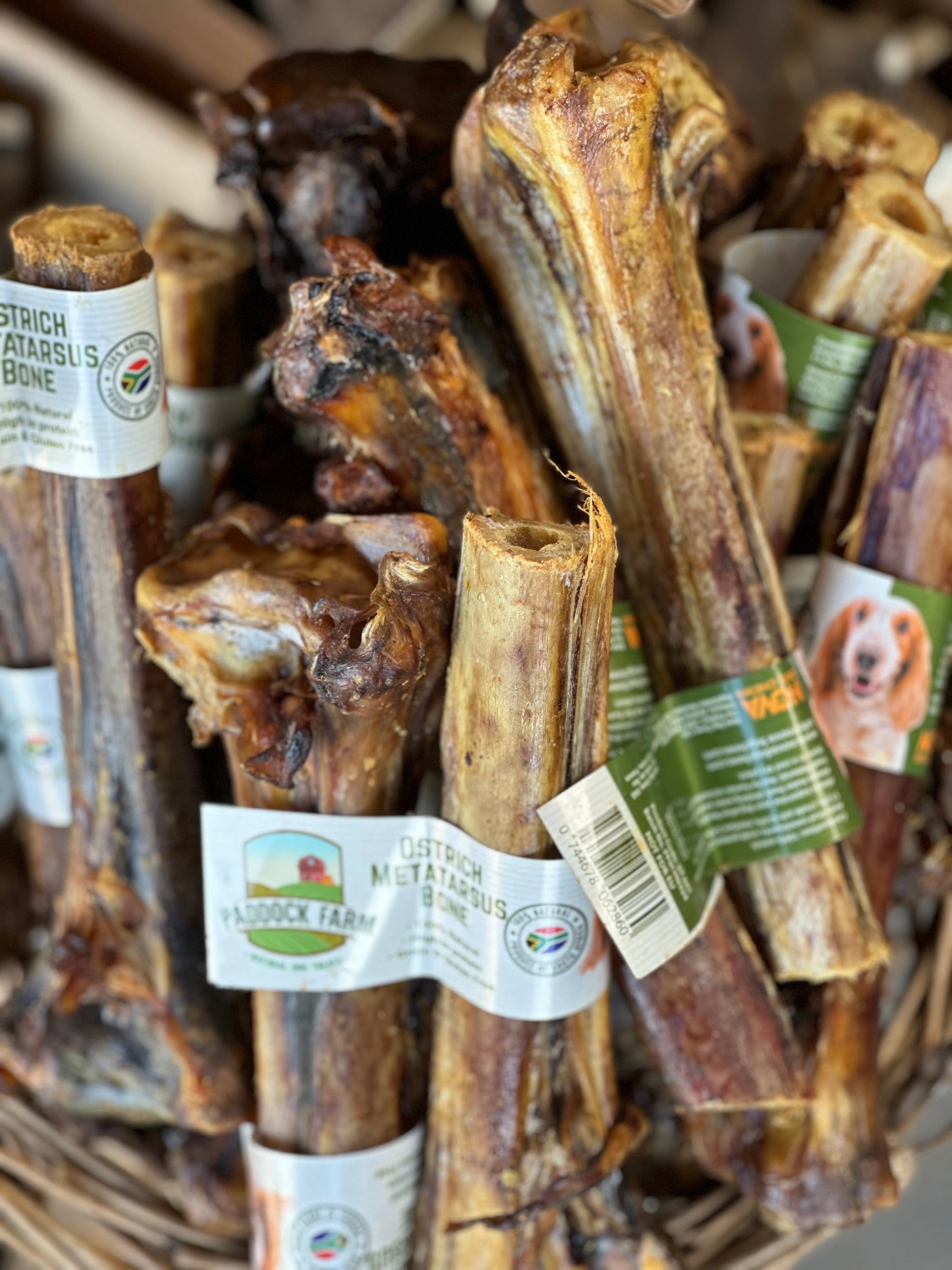 Natural Ostrich Metatarsus Bone for Dogs