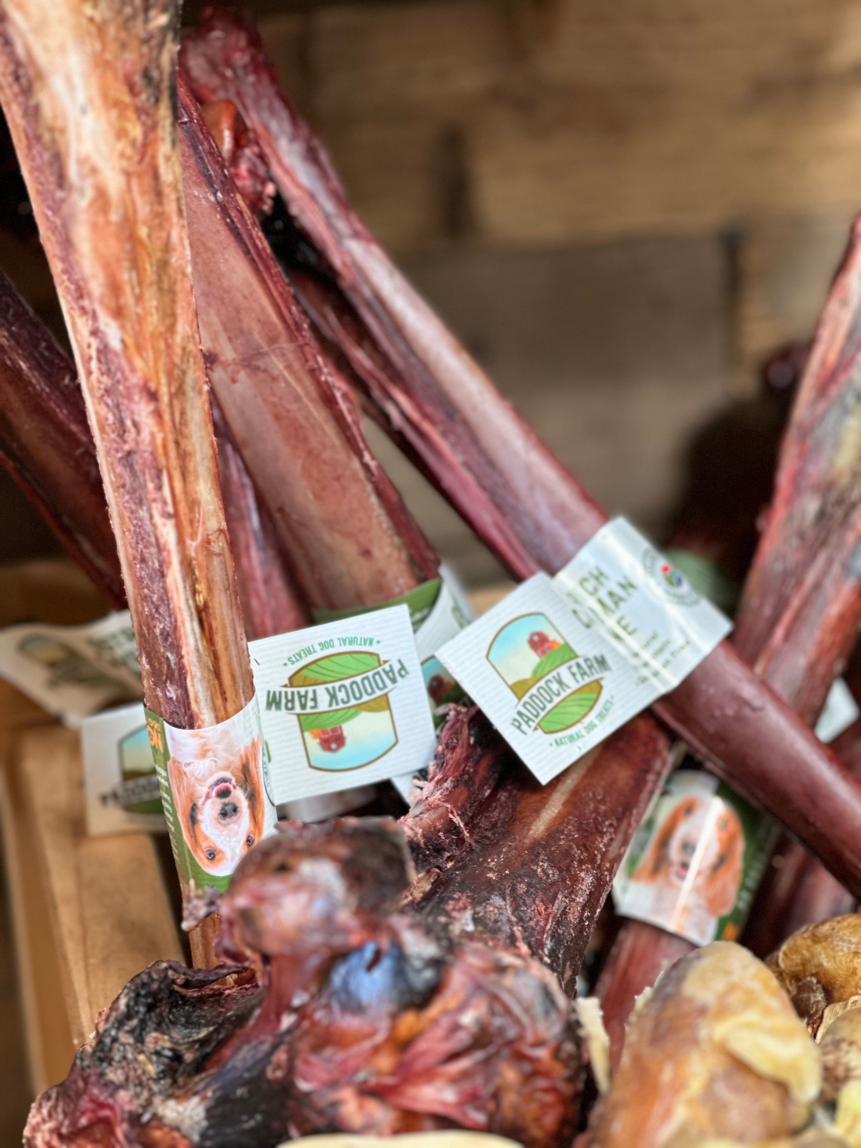 Natural Ostrich Caveman Bone for Dogs