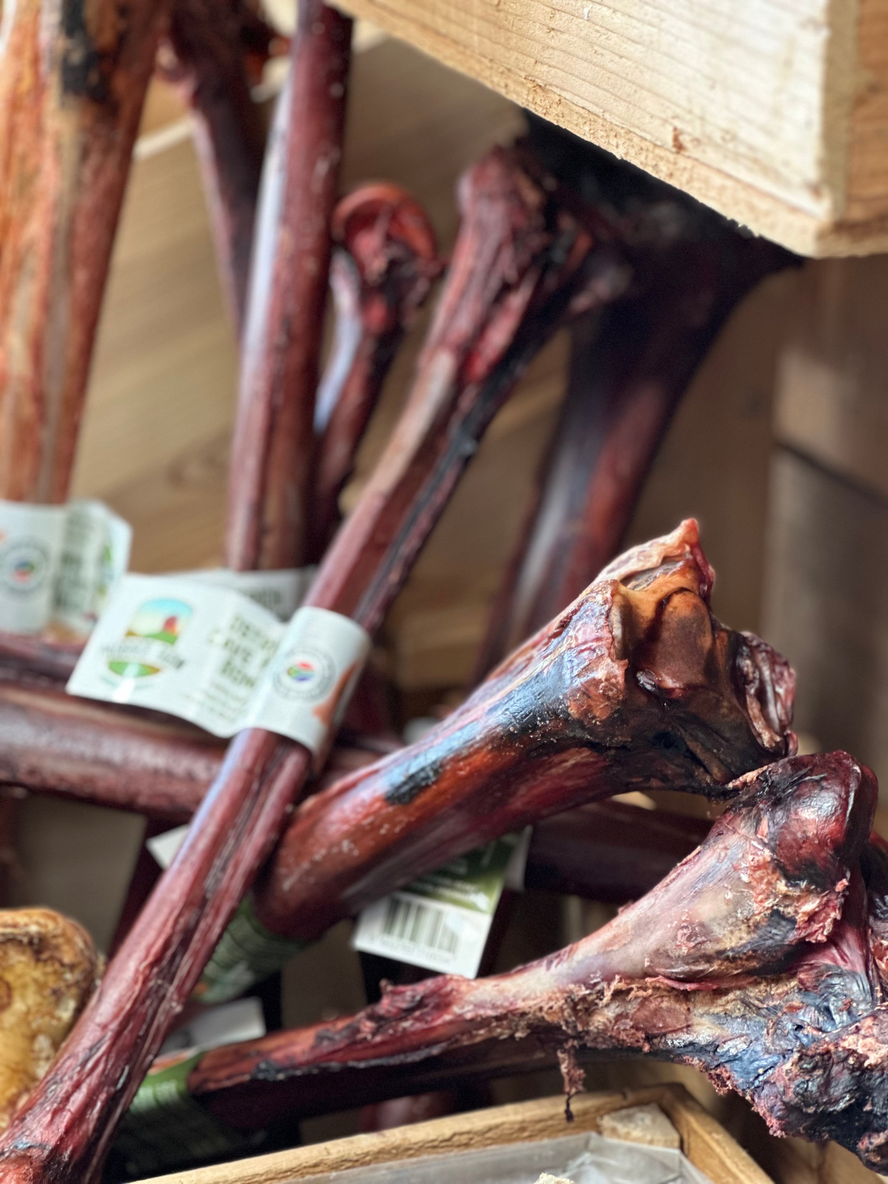 Natural Ostrich Caveman Bone for Dogs