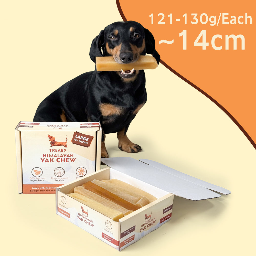 TREABY Himalayan Yak Chew Box - Large ( pack of 10)