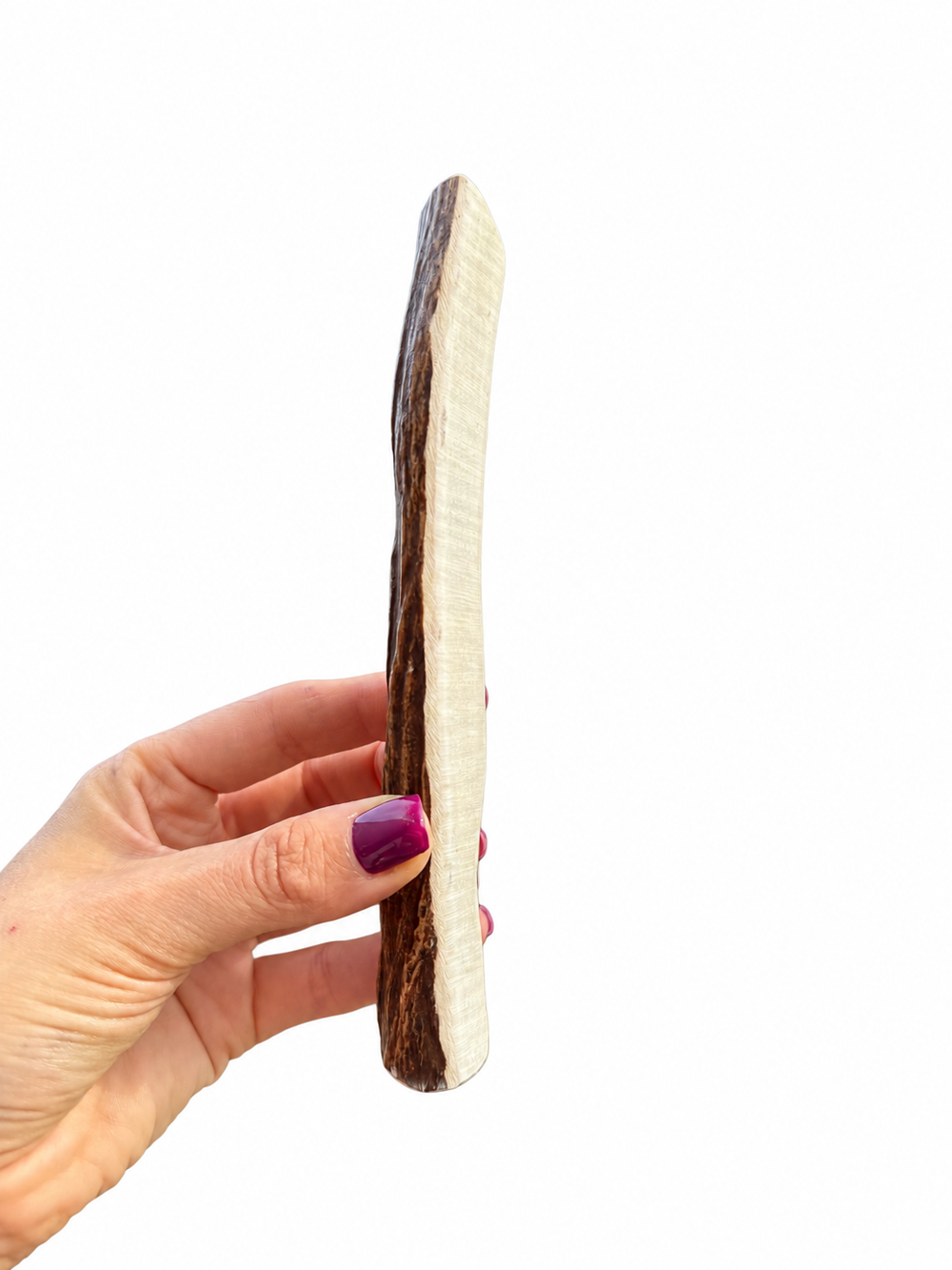 Moose Antler Dog Chews - Very hard