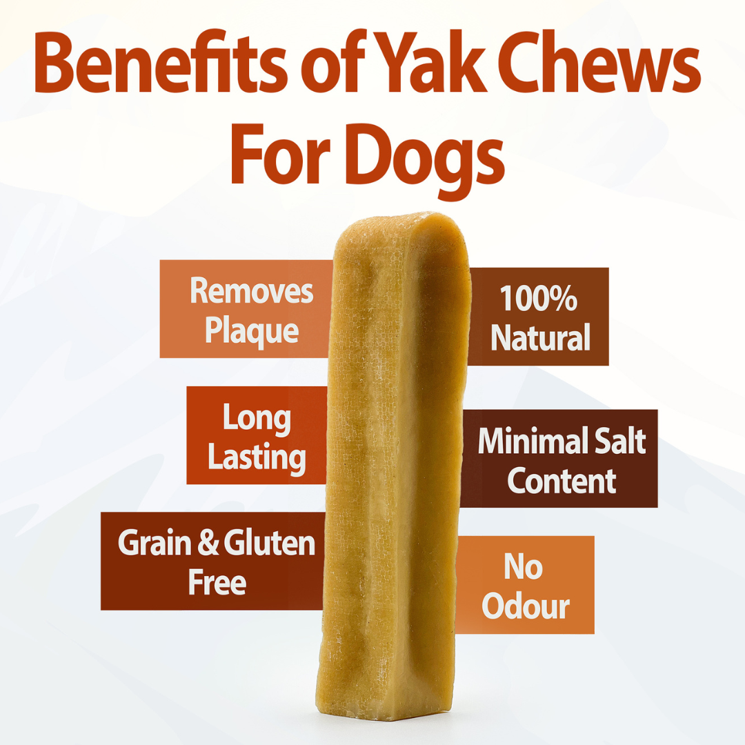 Himalayan Yak chew - Pack of 2