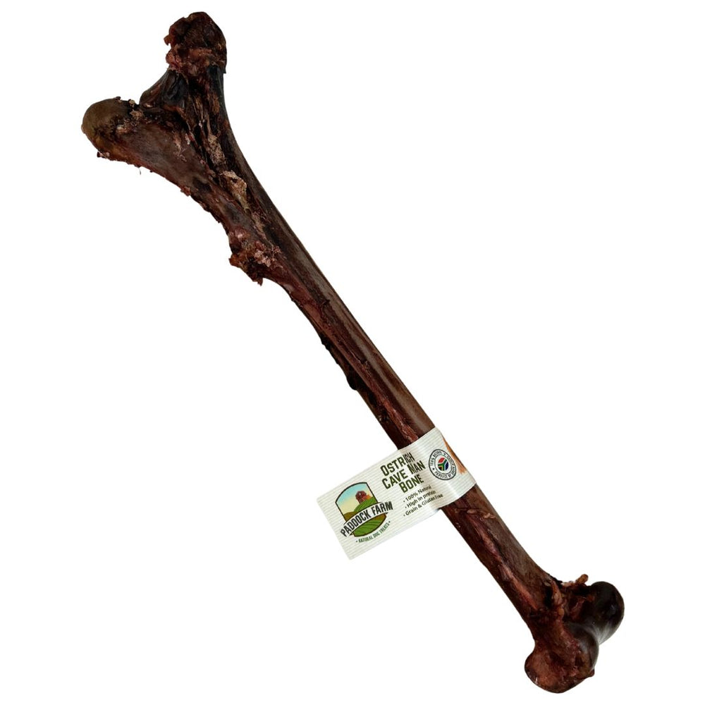 Natural Ostrich Caveman Bone for Dogs