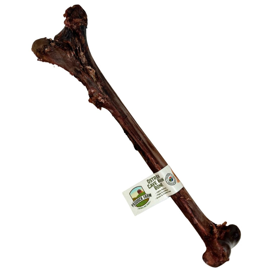 Natural Ostrich Caveman Bone for Dogs