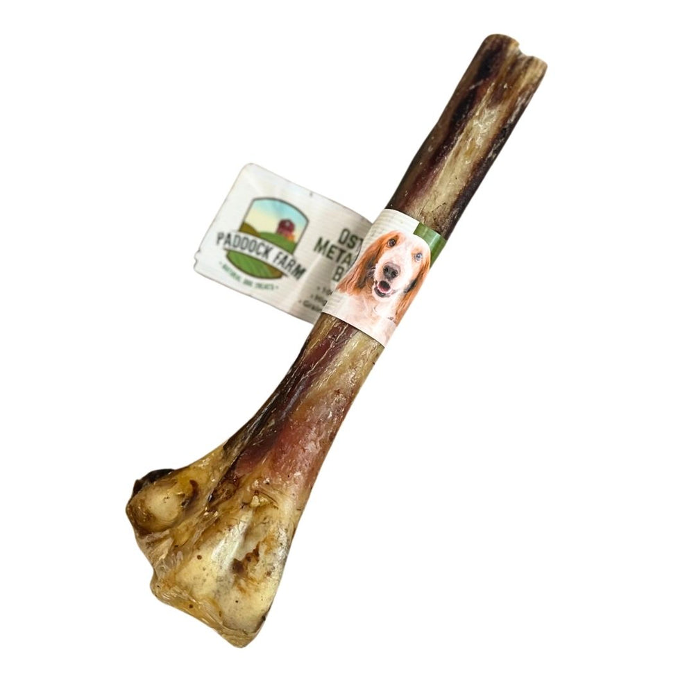 Natural Ostrich Metatarsus Bone for Dogs