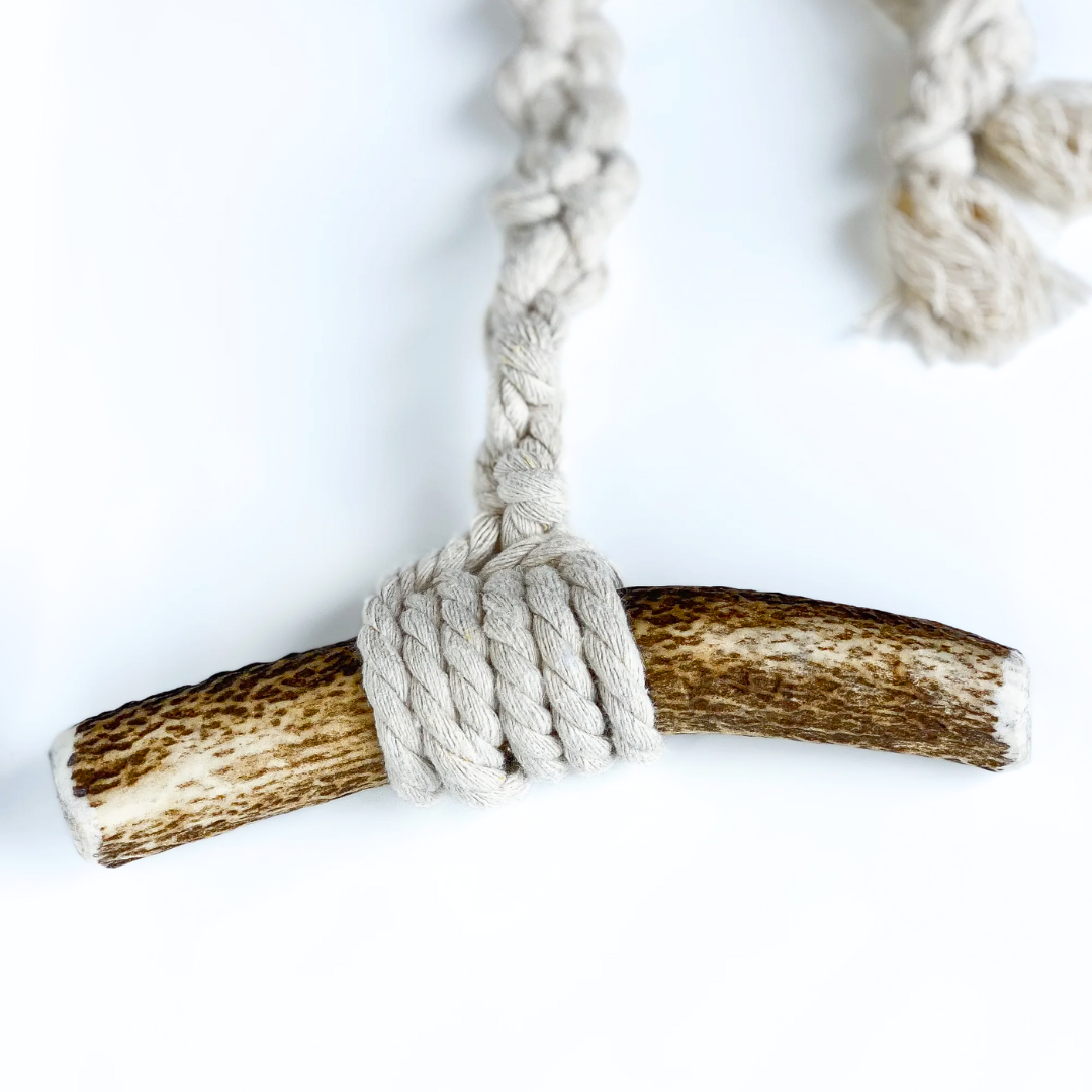 Red Deer Antler Dog Toy