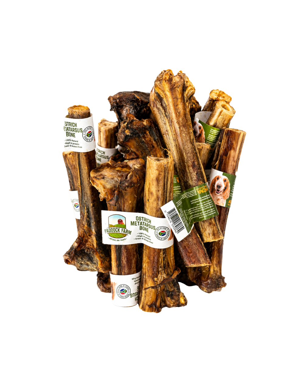 Natural Ostrich Metatarsus Bone for Dogs