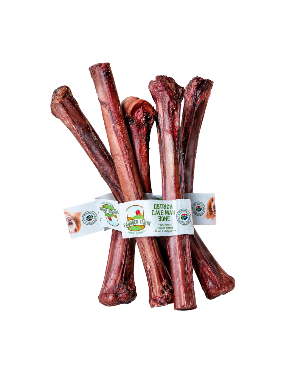 Natural Ostrich Caveman Bone for Dogs