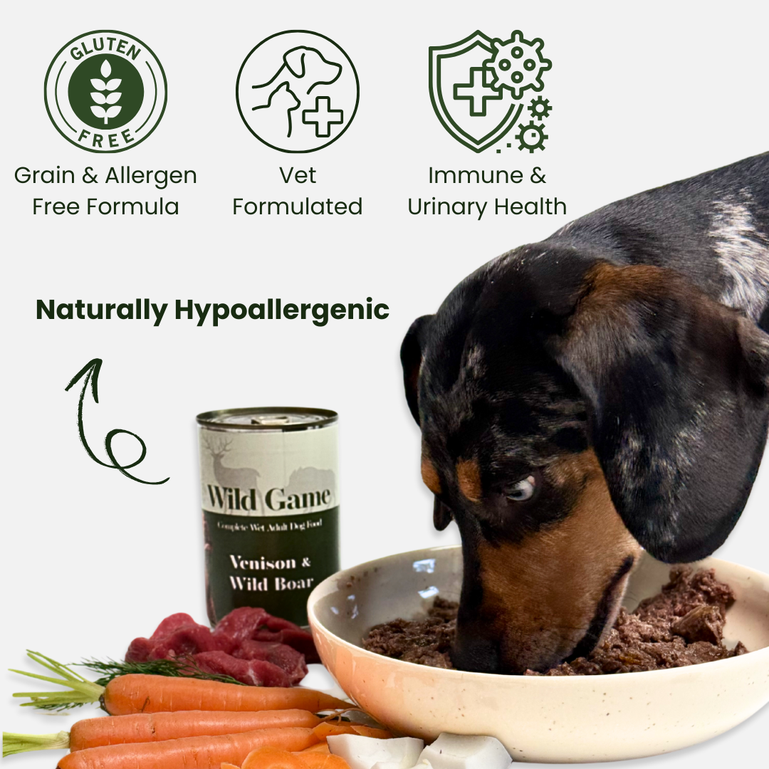 Venison & Boar Wet Dog Food 400g