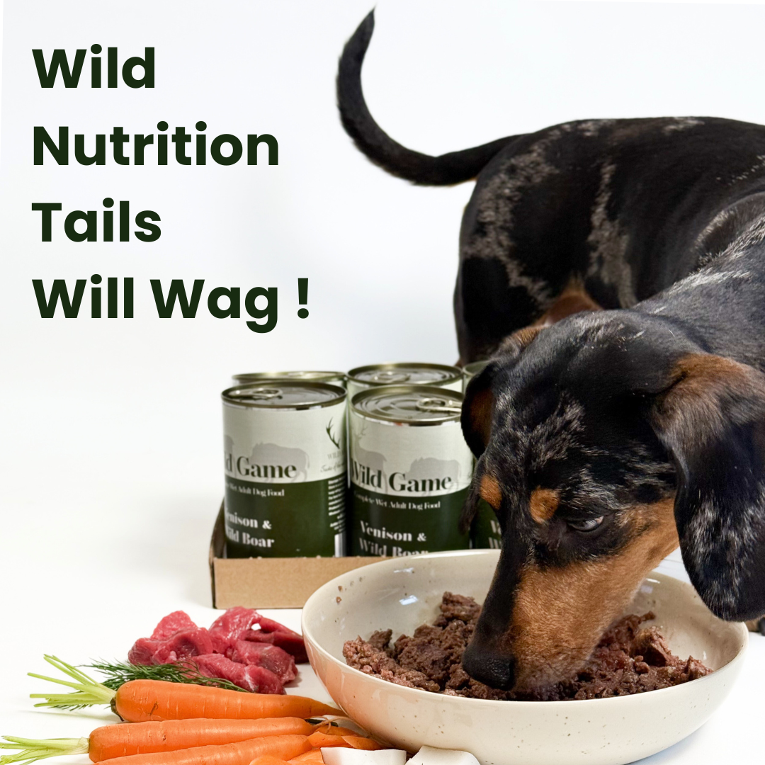 Venison & Boar Wet Dog Food 400g