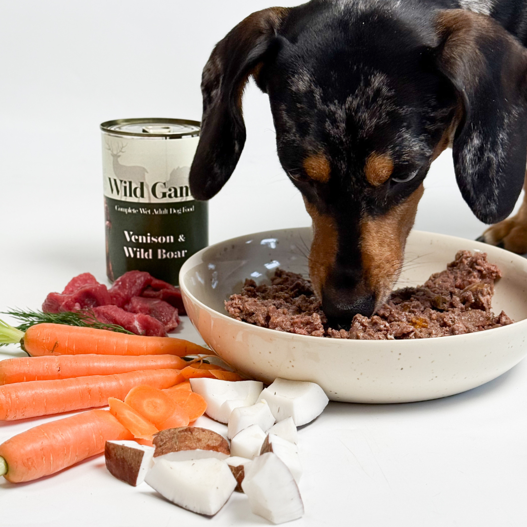 Venison & Boar Wet Dog Food 400g
