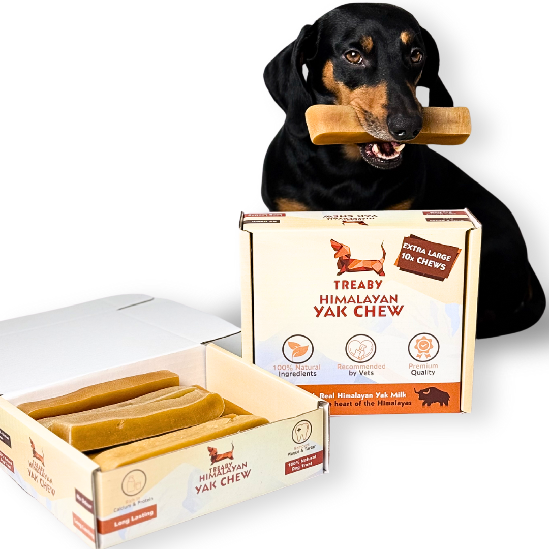 Dog Treats Yak Bones Amazon BULK SAVINGS ValueBull Himalayan Yak