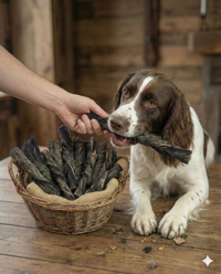 Natural Dog Chew