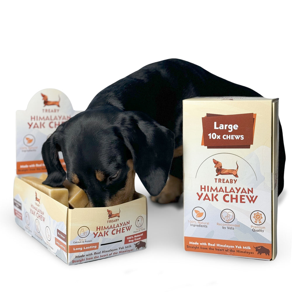 TREABY Himalayan Yak Chew Box - Large ( pack of 10)