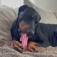 Natural Dog Chew