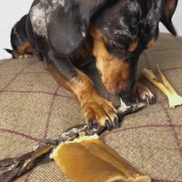 Natural Dog Chew