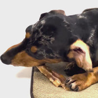 Natural Dog Chew