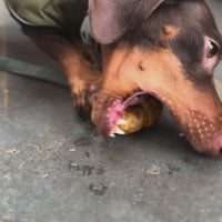 Natural Dog Chew