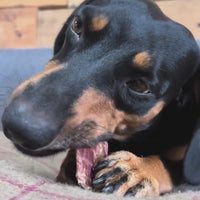 Natural Dog Chew