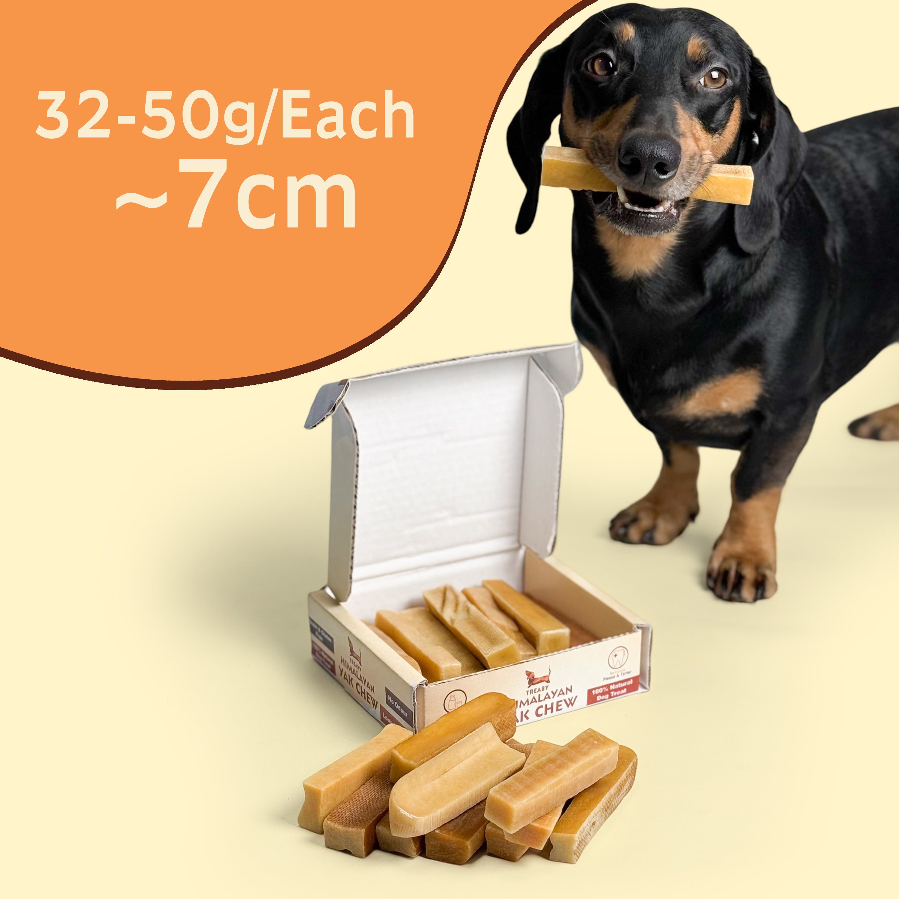 TREABY Himalayan Yak Chew Box - SMALL ( Pack of 10)